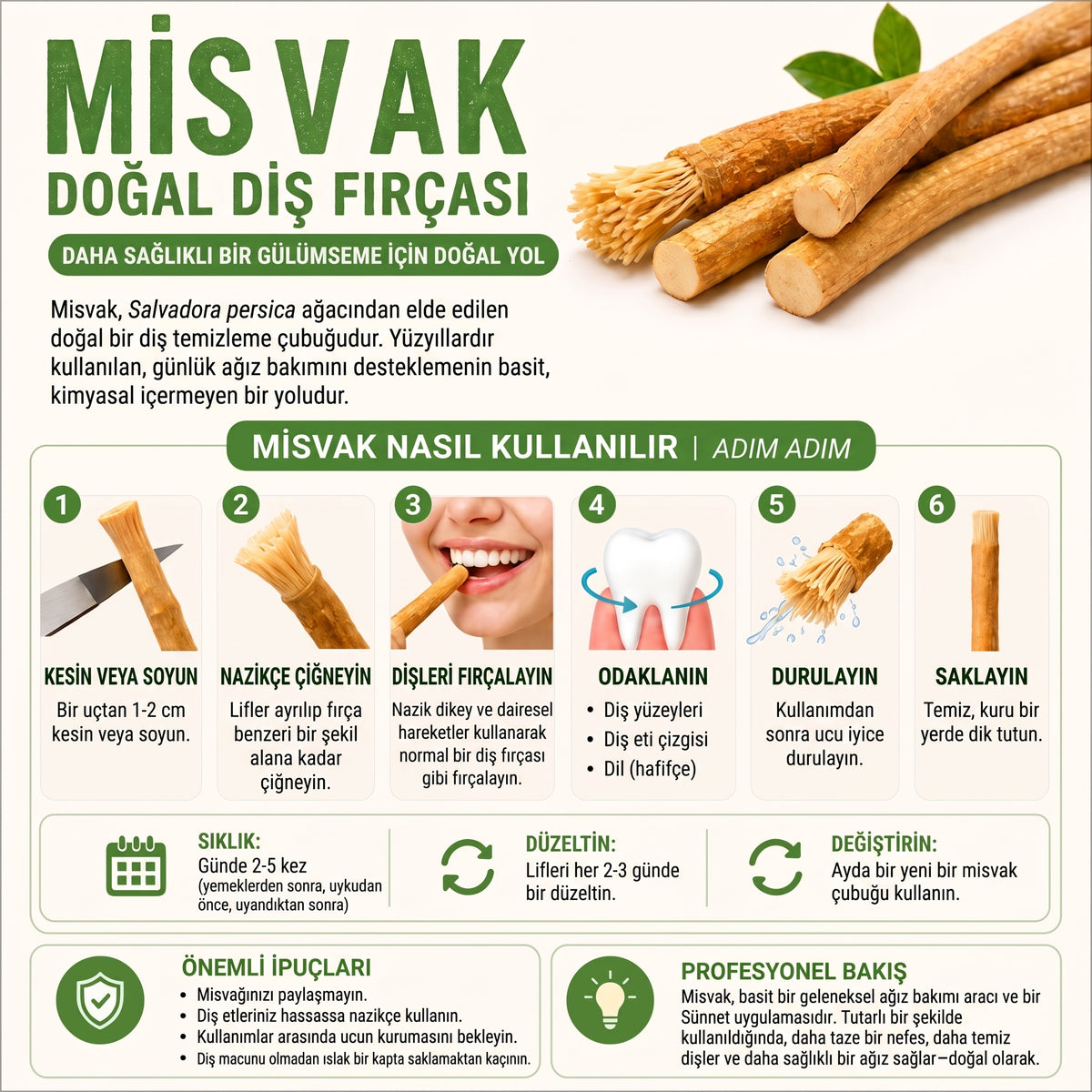 Misvak Diş Fırçası