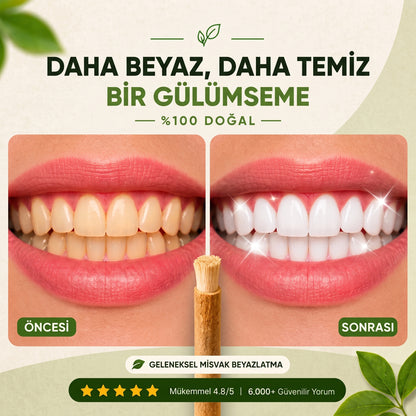 Misvak Diş Fırçası